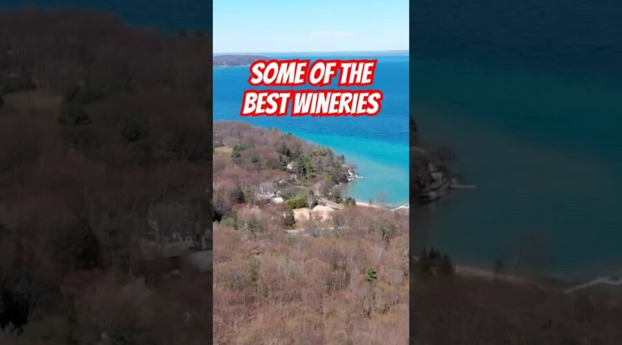 Old Mission Peninsula Wineries Guide: Top Tastings, Lake Views & Must-Visit Vineyards Near TC