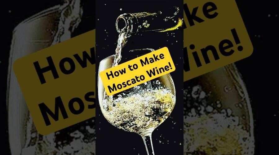 How to Make Moscato Wine! #winery #moscato #muscat
