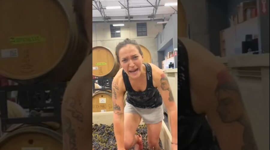 Why Do Wine Makers Step on Grapes Instead of Using Machines ?