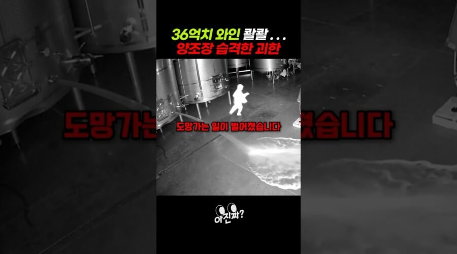 36억치 와인 콸콸… 양조장 습격한 괴한
