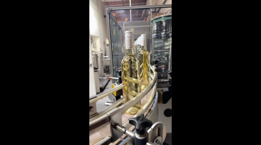 San Antonio Villadoro bottling day.