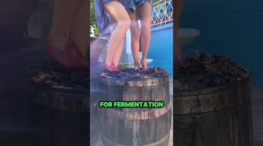 The process of making Georgian wine