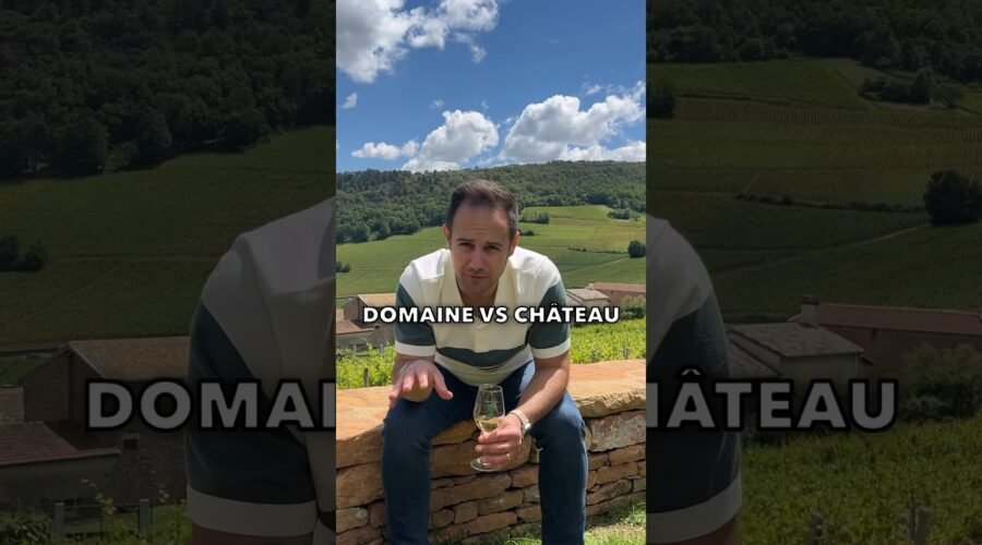 Château and a Domaine, What’s the Difference?! 🍇