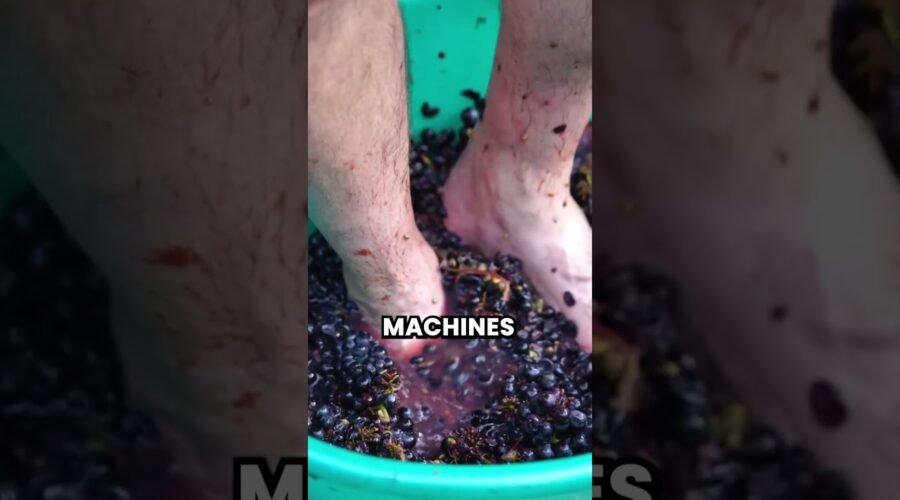 How Wine Is Traditionally Made