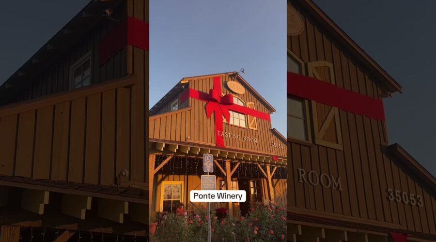 The BEST Temecula Wineries with STUNNING Views You Can’t Miss! 🍇✨
