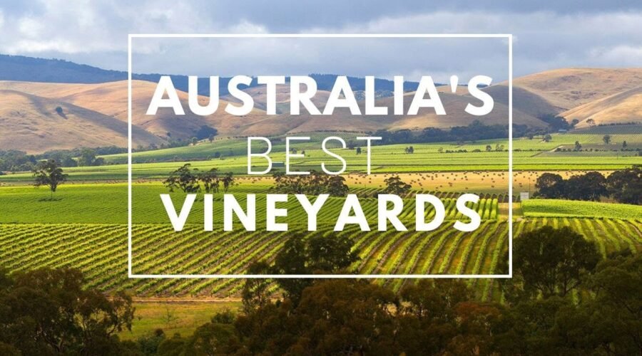 Australia’s Best Vineyards 2020