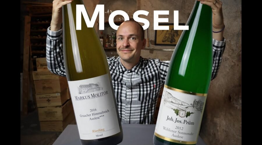 MOSEL – WINE IN 10
