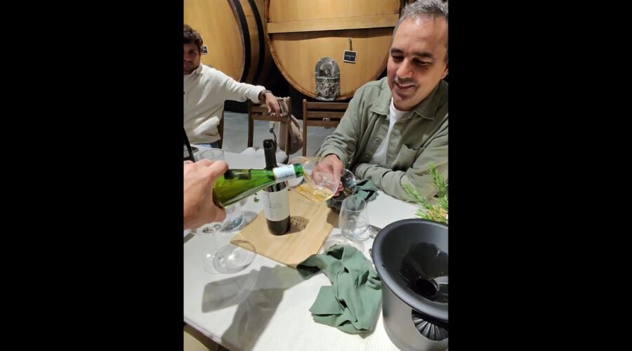 POV Special Event at Vadio Winery In Bairrada, Portugal #fyp #fypシ #trending #viral #travel #explore