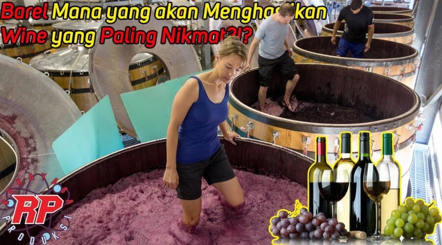 BEGINI PROSES PRODUKSI PEMBUATAN WINE ANGGUR SPANYOL YANG TERKENAL