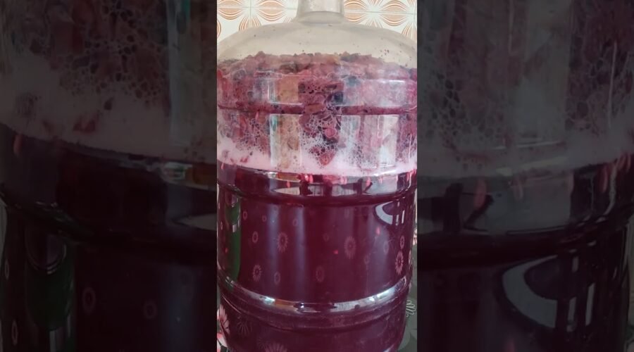 Red Wine 🍷/Home made Red wine/Tech praveen