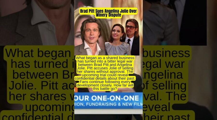 Brad Pitt Sues Angelina Jolie Over Winery Dispute