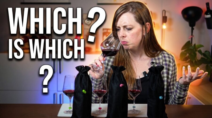 Nebbiolo vs Barbera vs Dolcetto: Blind Tasting Langhe Wines!