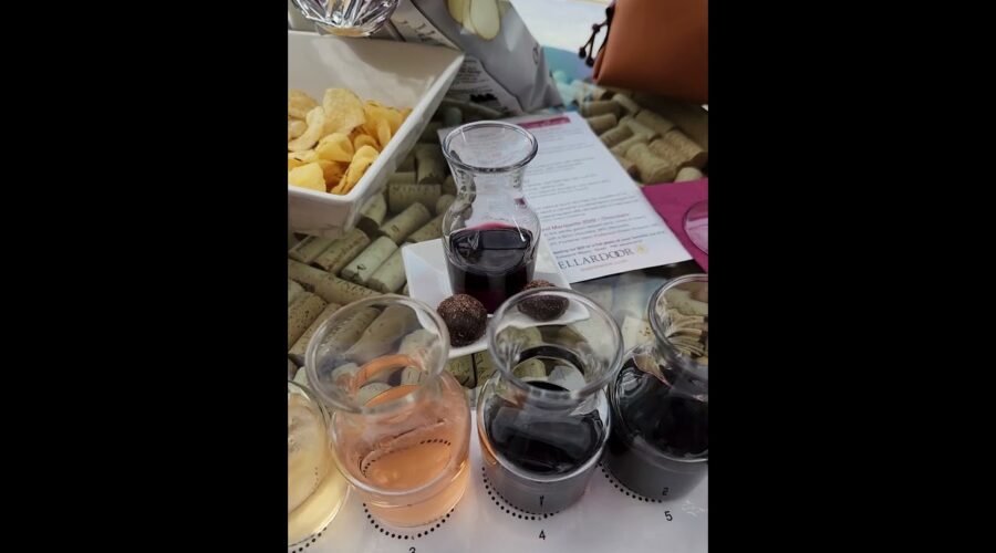WOULD YOU TRY THIS ? #winelovers #shorts #wine #winery #wineshorts #winetasting