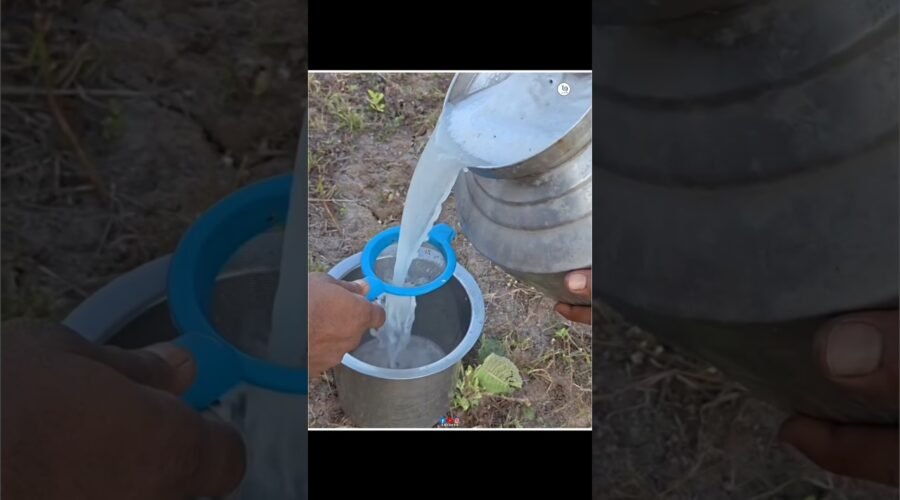 Palm wine Drink Time Kabhi This Mistake na Karen #shorts