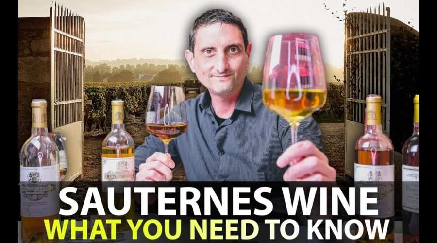 What you Need to Know about Sauternes Wine | Your 5-Minute Guide!