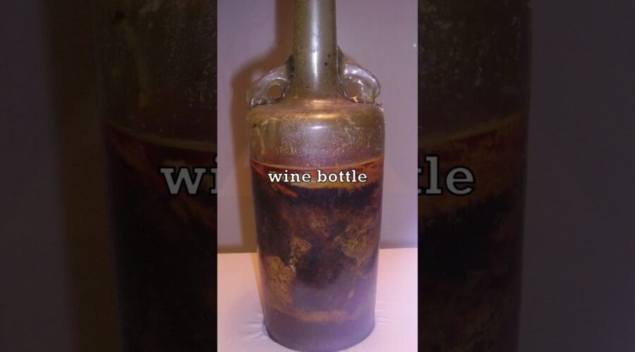 Oldest Wine Bottle in The World 🍷