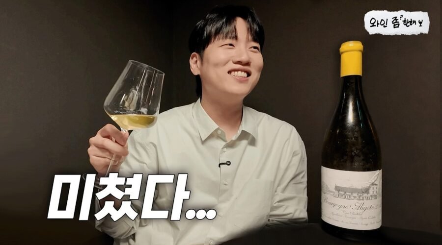 모두를 충격에 빠뜨린 와인 | 도브네, 르루아 [와인좀한해]