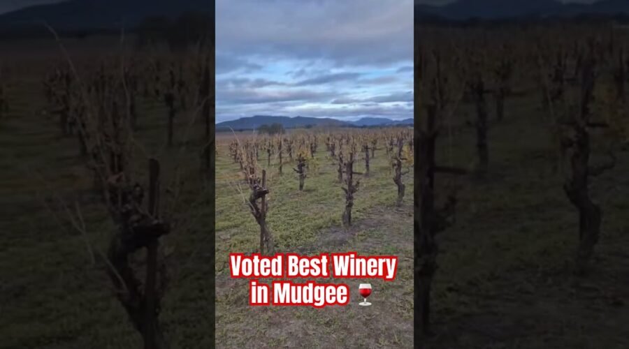 Lowe Winery Mudgee