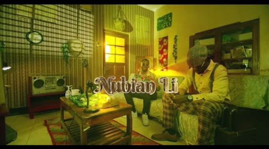 Nteredde   H:E.Bobi Wine & Nubian Li Official Video