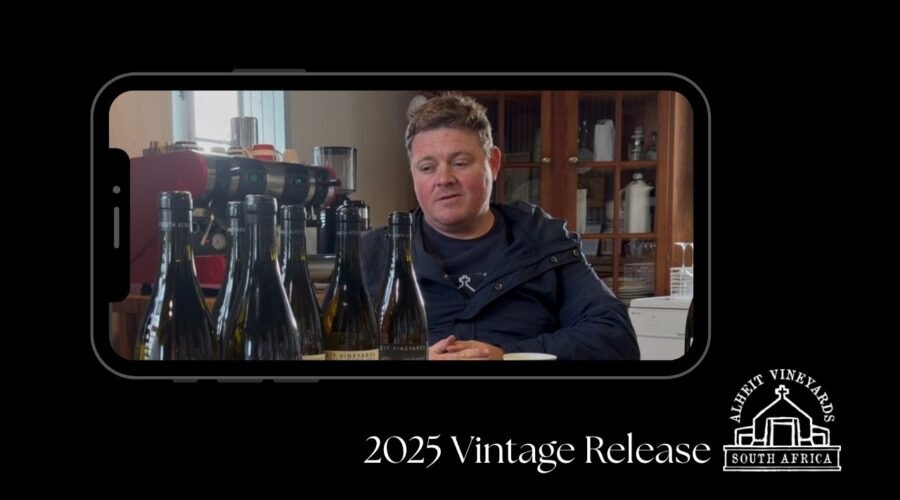 2025 New Vintage Release