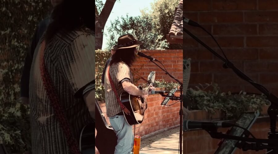A two hour show in Brickbarn Winery