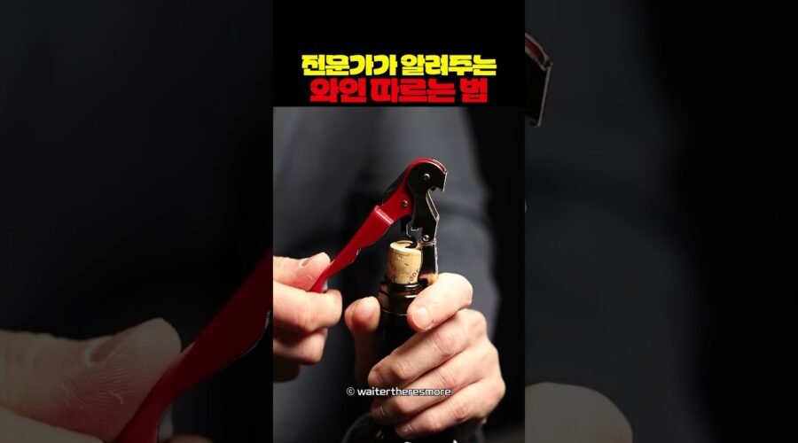 전문가가 알려주는 와인 따르는 법