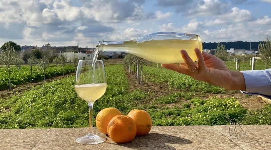 How to make ORANGE WINE at Home 🍊Homemade ORANGE WINE recipe 🍷 #orangewine