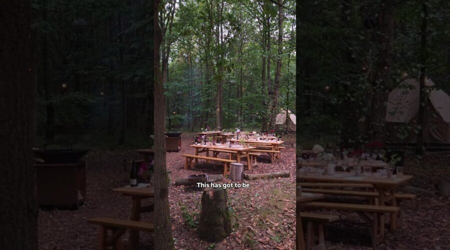 Woodland bbq dining experience in Essex