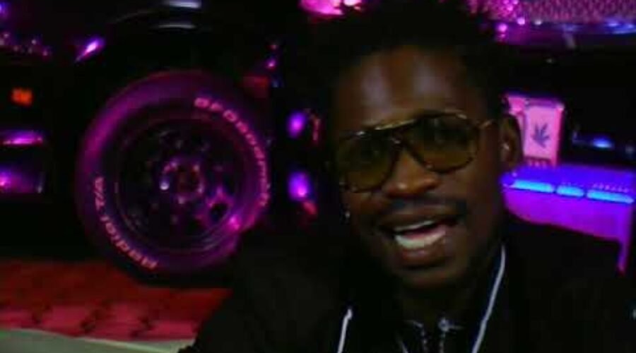Mazzi Mawanvu-Bobi Wine