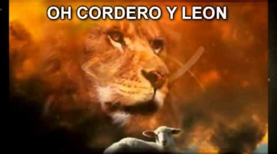 CORDERO Y LEON NEW WINE LETRA