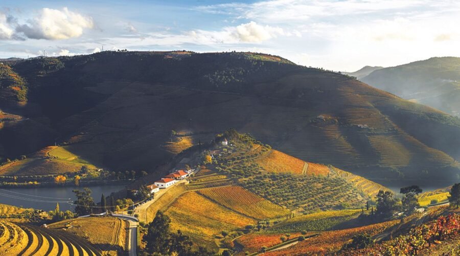 The Douro Boys get back to work