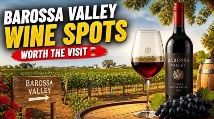 Barossa Valley With Kids: Our Favorite Winery Stops