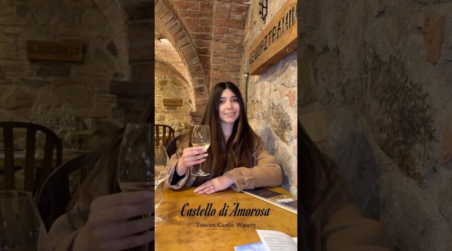 POV: You Found a SECRET Castle Winery Hidden in Napa Valley 🍷