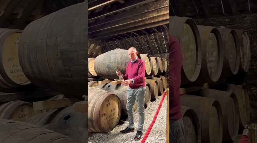 How Luxury Wine Gets Its Famous Taste 🍷🔥 | Secret of French Oak Barrels #shorts