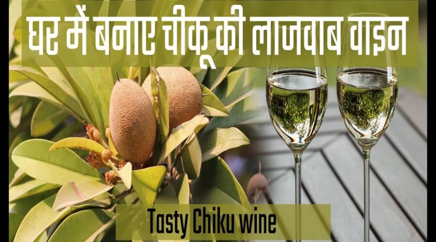 chikoo wine recipe | चीकू की वाइन कैसे बनाएं Part 1 | Wine Recipe