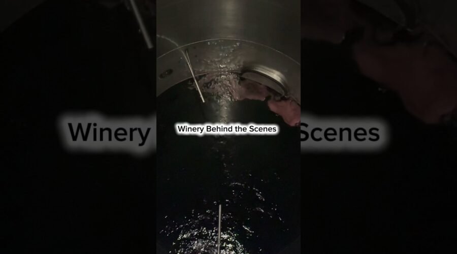 Come Work With Me at a Winery #winery #winelife #vineyard #workvlog #pov