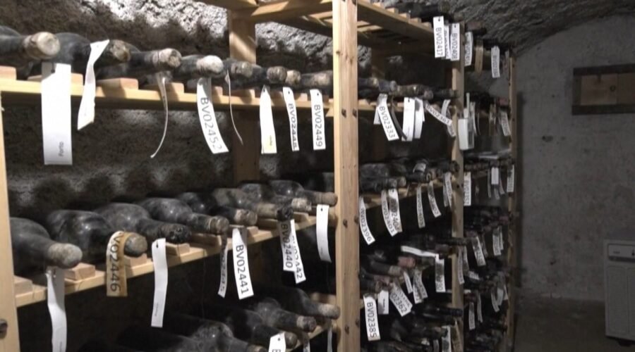 133 Bottles Of Century-Old Wine Hidden During WWII Being Restored