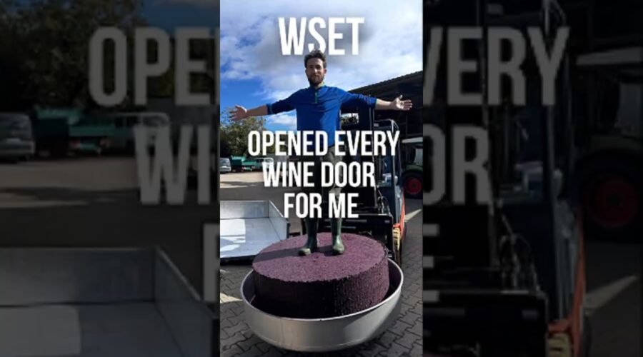 He Had No Wine Knowledge. Now He Works at a Winery in Germany. | WSET Level 2 & 3