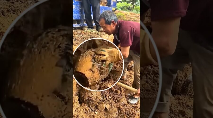 চীনে ৩০ বছর মাটির নিচে রাখা হয় এই মদ! China Underground Wine