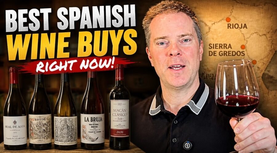 Spanish Wines Worth Buying in 2026: 9 Top Picks!