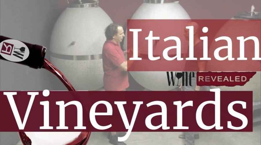 Italian wine and vineyards