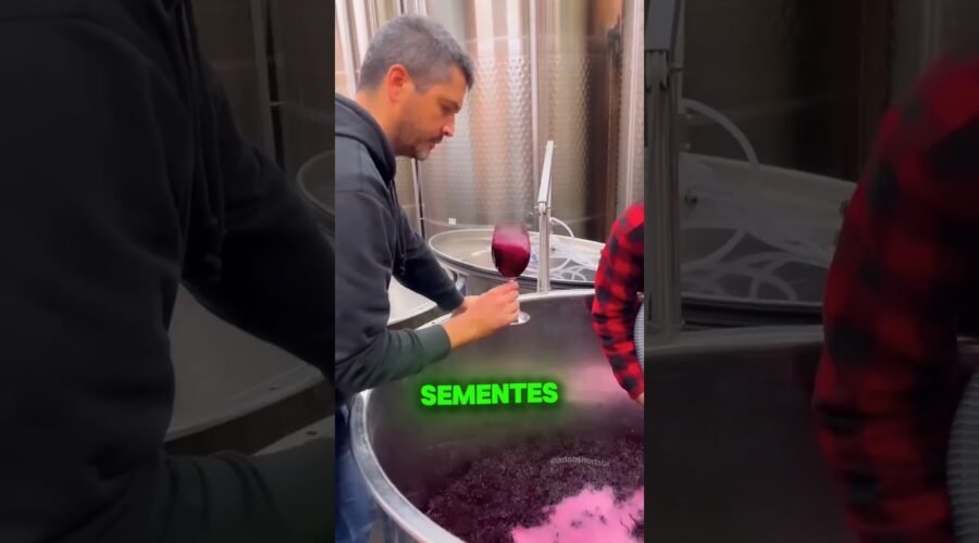 🍇 O Segredo dos Vinhos Caros!