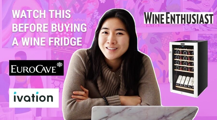 Watch this Before Buying a Wine Fridge – Guide on which Wine Storage Cooler is Best for You