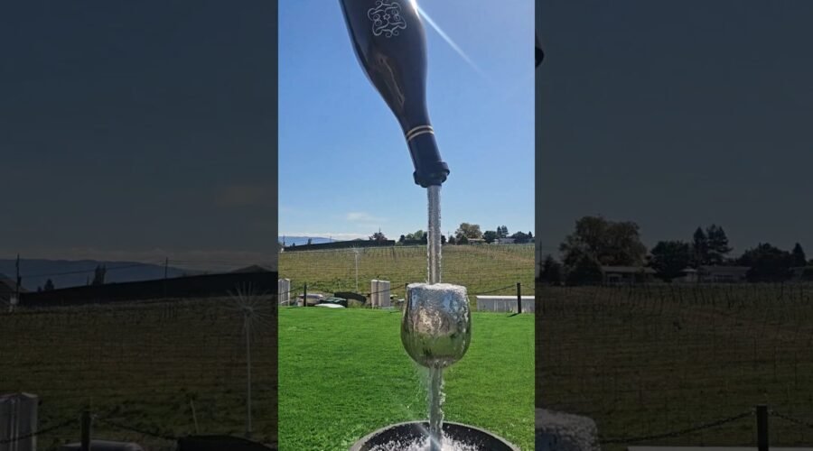 Rollingdale Winery new tasting room with the epic digital sky ceiling opened