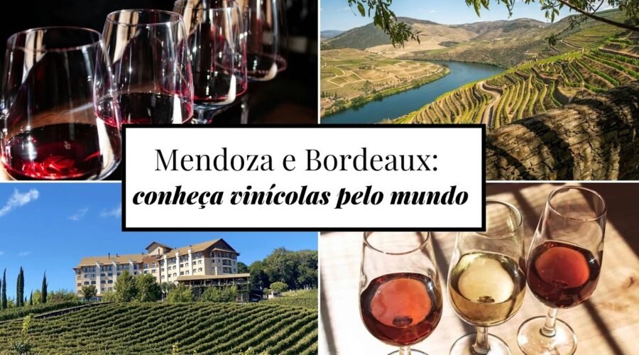 Roteiro de Vinhos: Mendoza e Bordeaux | CNN Viagem & Gastronomia