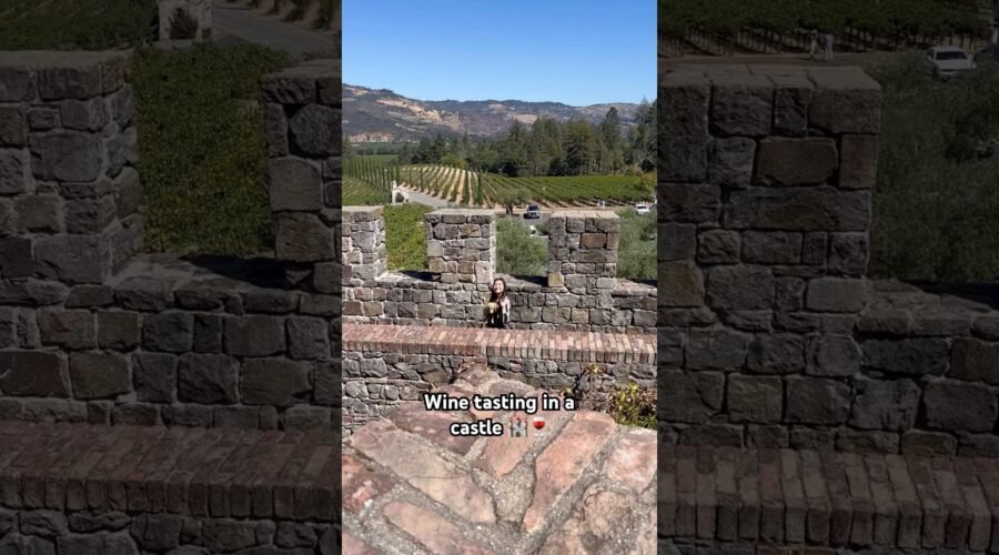 Our favorite winery in Napa Valley! Castello di Amorosa 🏰🍷  #napa #napavalley #winetasting #wine