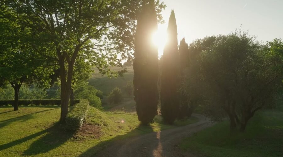 Sneak peek into Montalpruno Winery