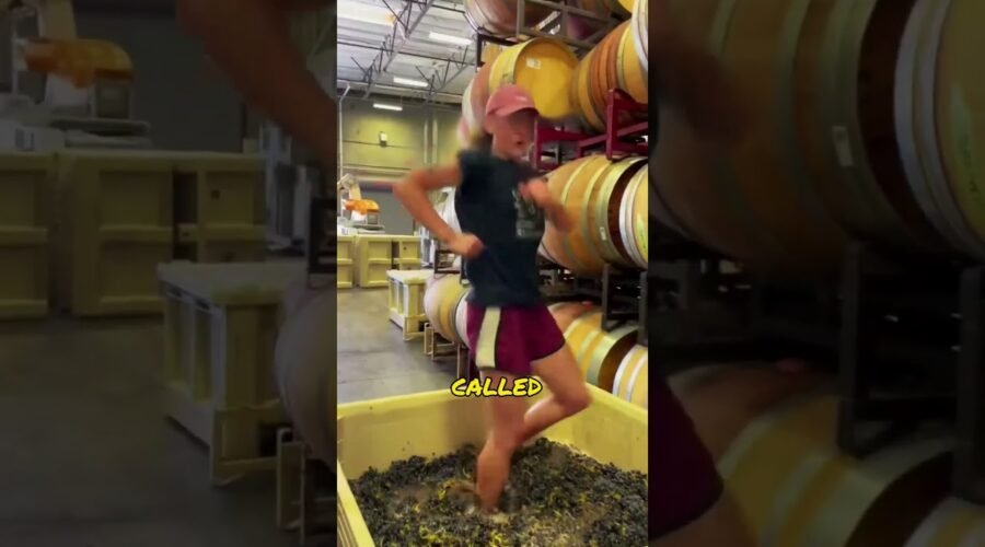 Why are people still using foot treads to brew wine
