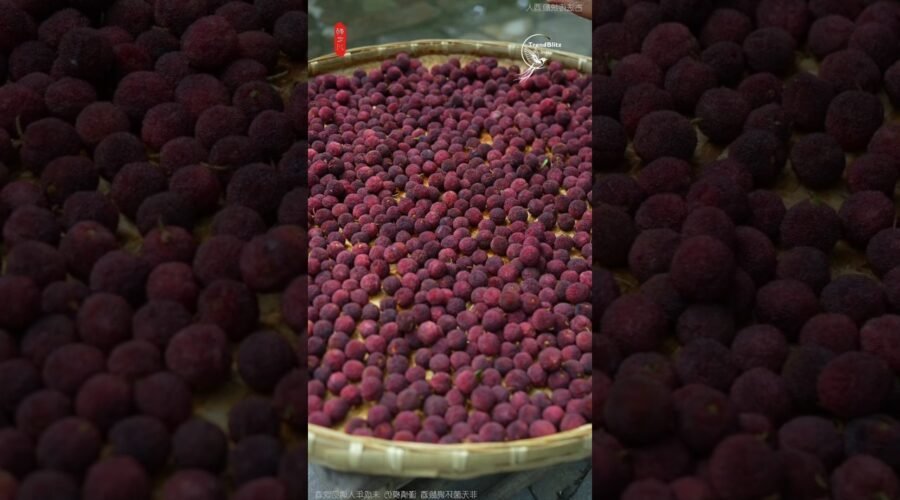 From Grandma’s Bayberry Soup to Homemade Wine ✨ A Taste of Summer Memories