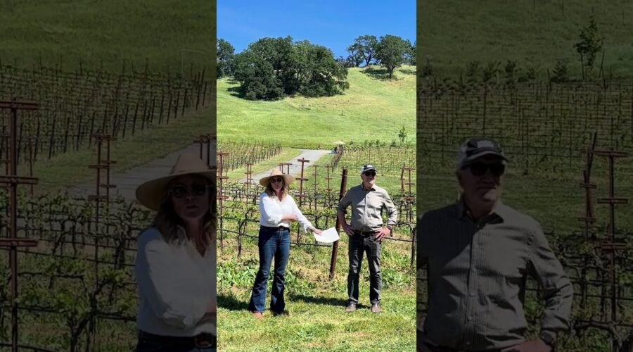 Lost Valley Wines joins the Micro-Winery Guild